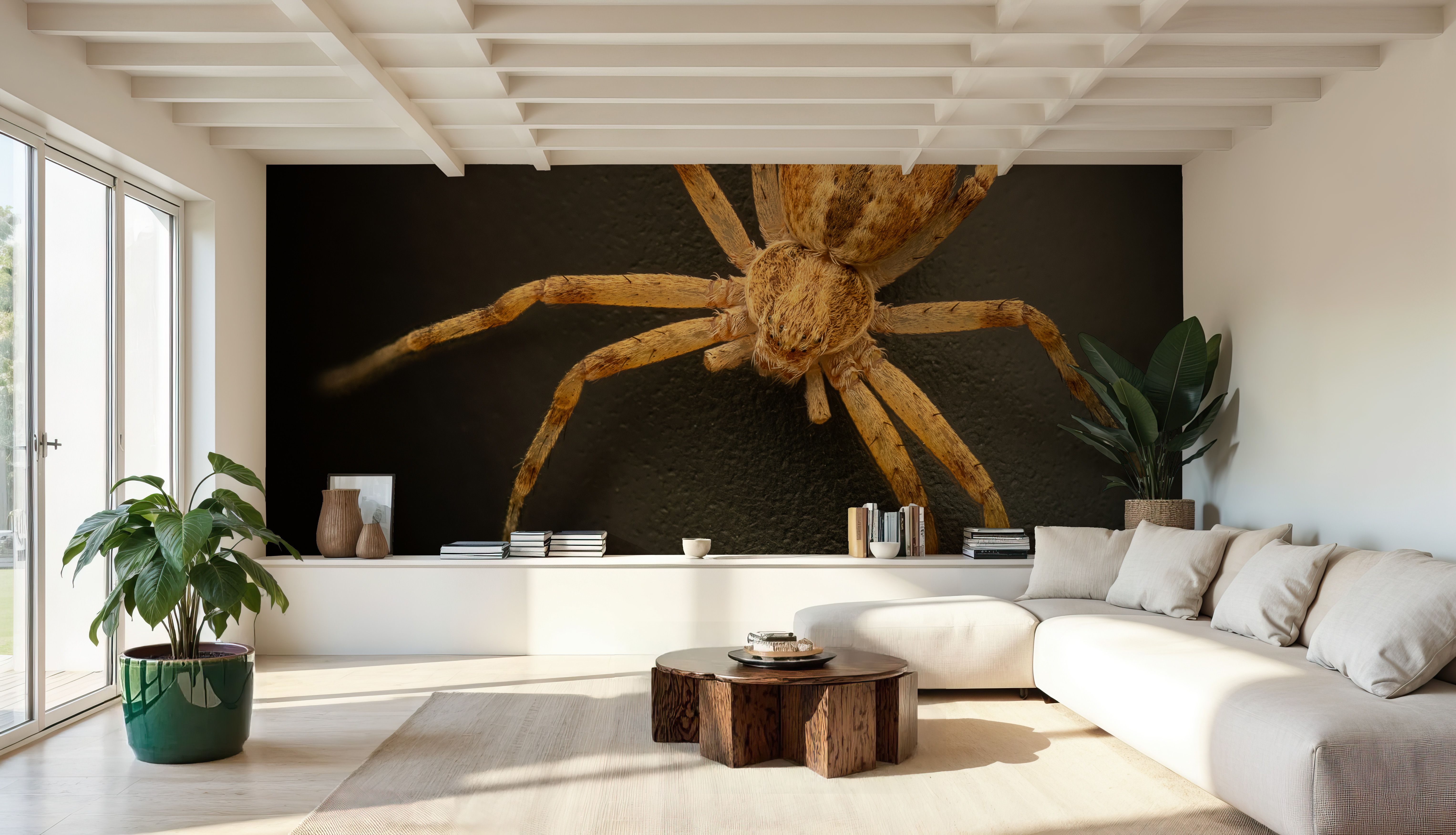 Pseudopoda Spider