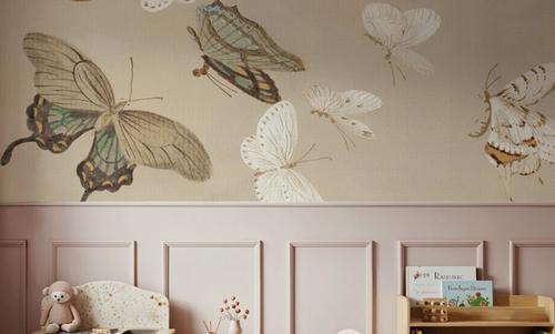 Chrysanthemum Butterflies