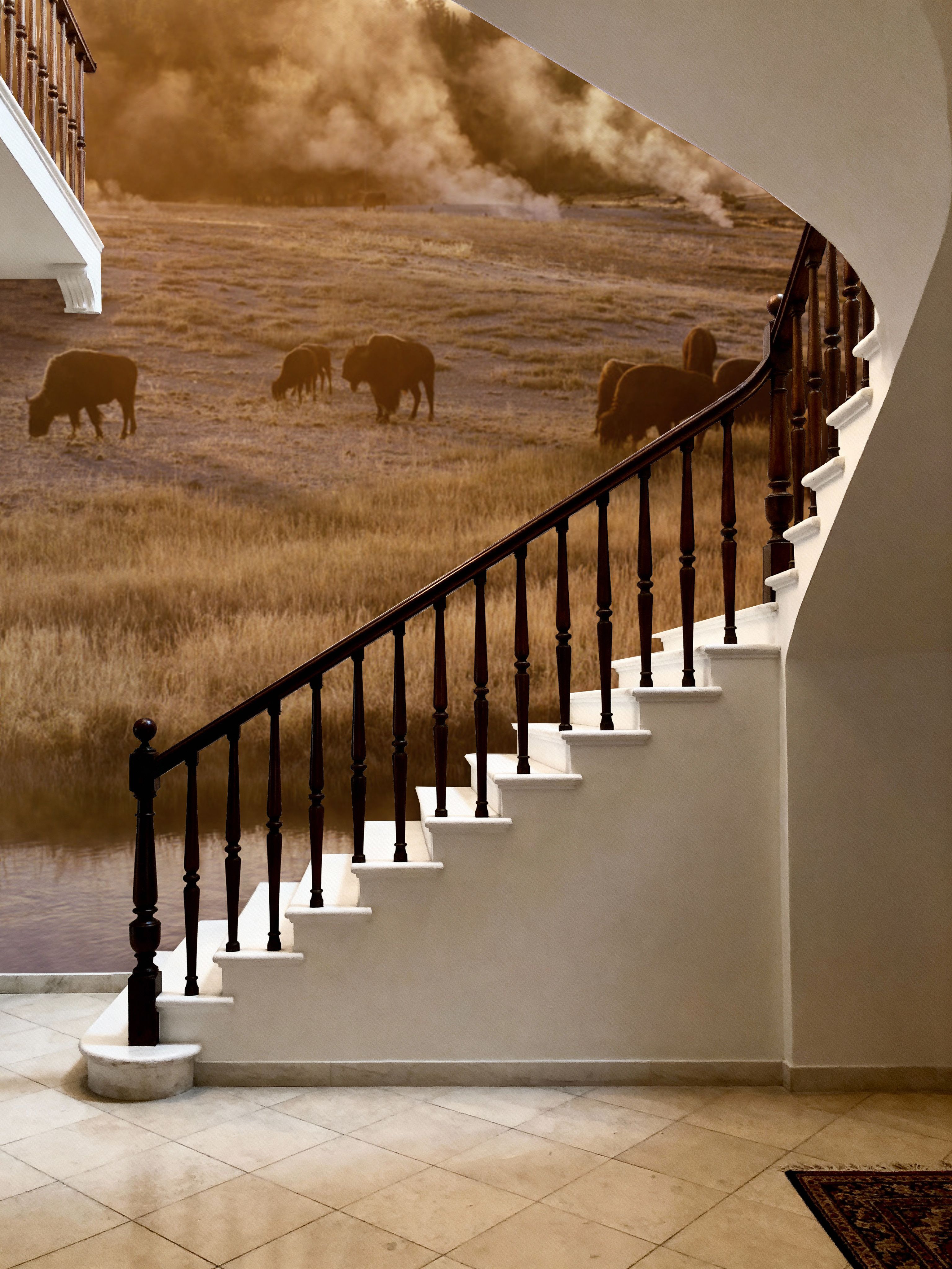 Bison Firehole River
