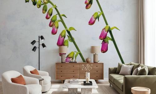 Bending Foxgloves