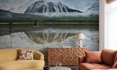 Waterfowl Lake I