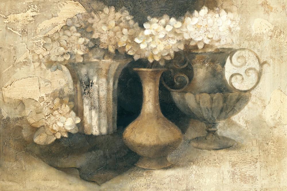 Albenas Hydrangea