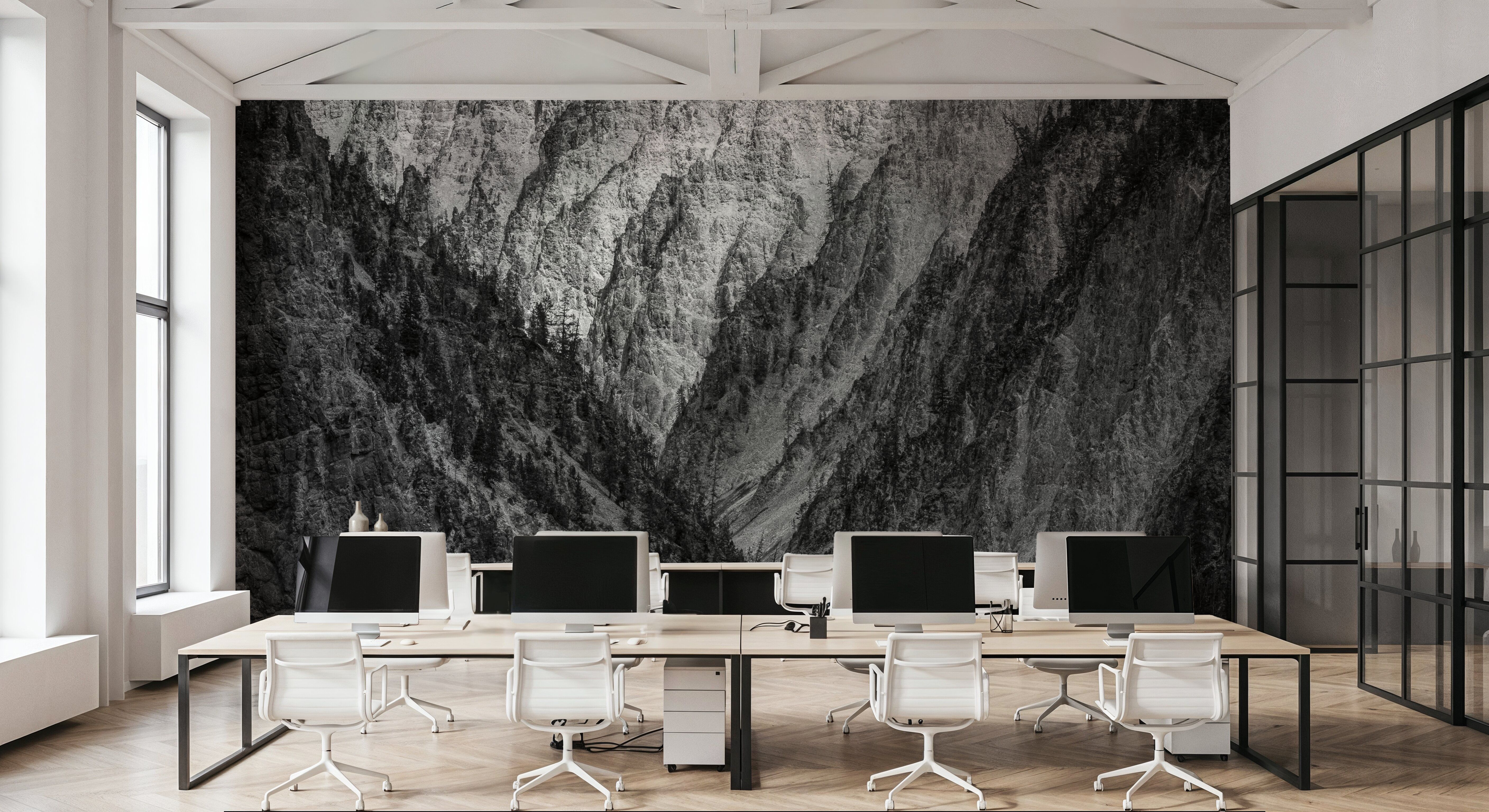 Yellowstone Summers BW