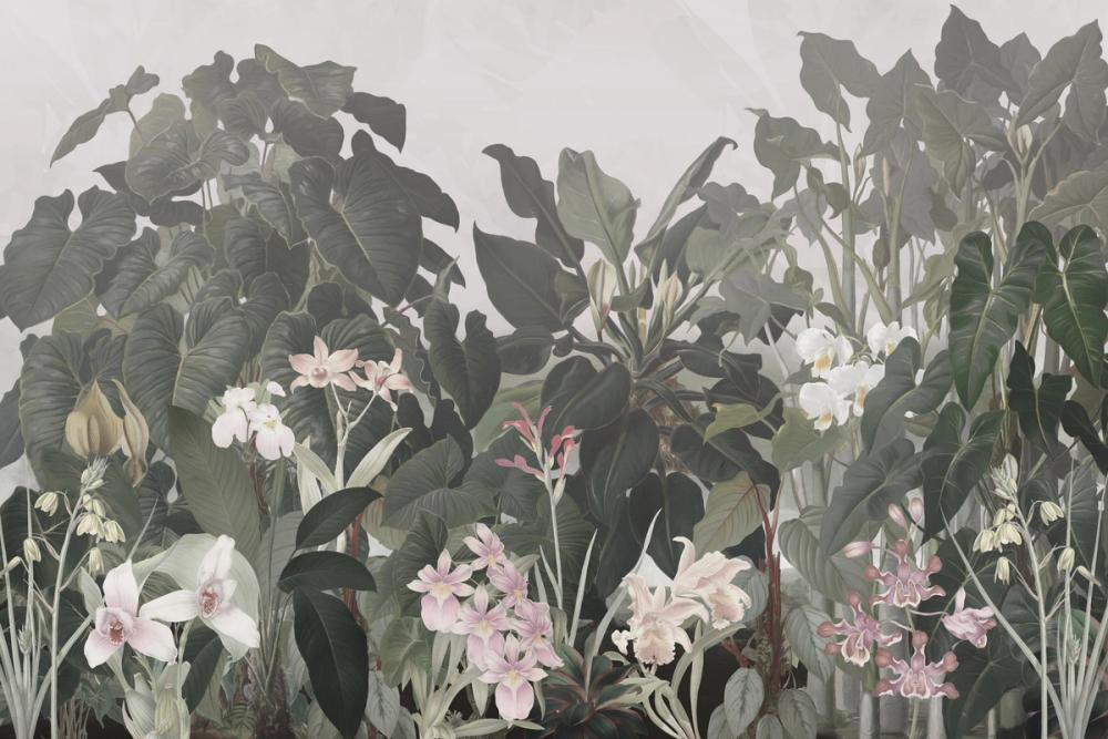 Walking to the Tropics