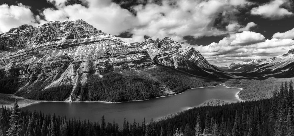 Peyto Lake BW
