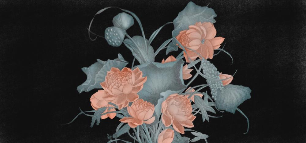 Humble Blooms - Midnight