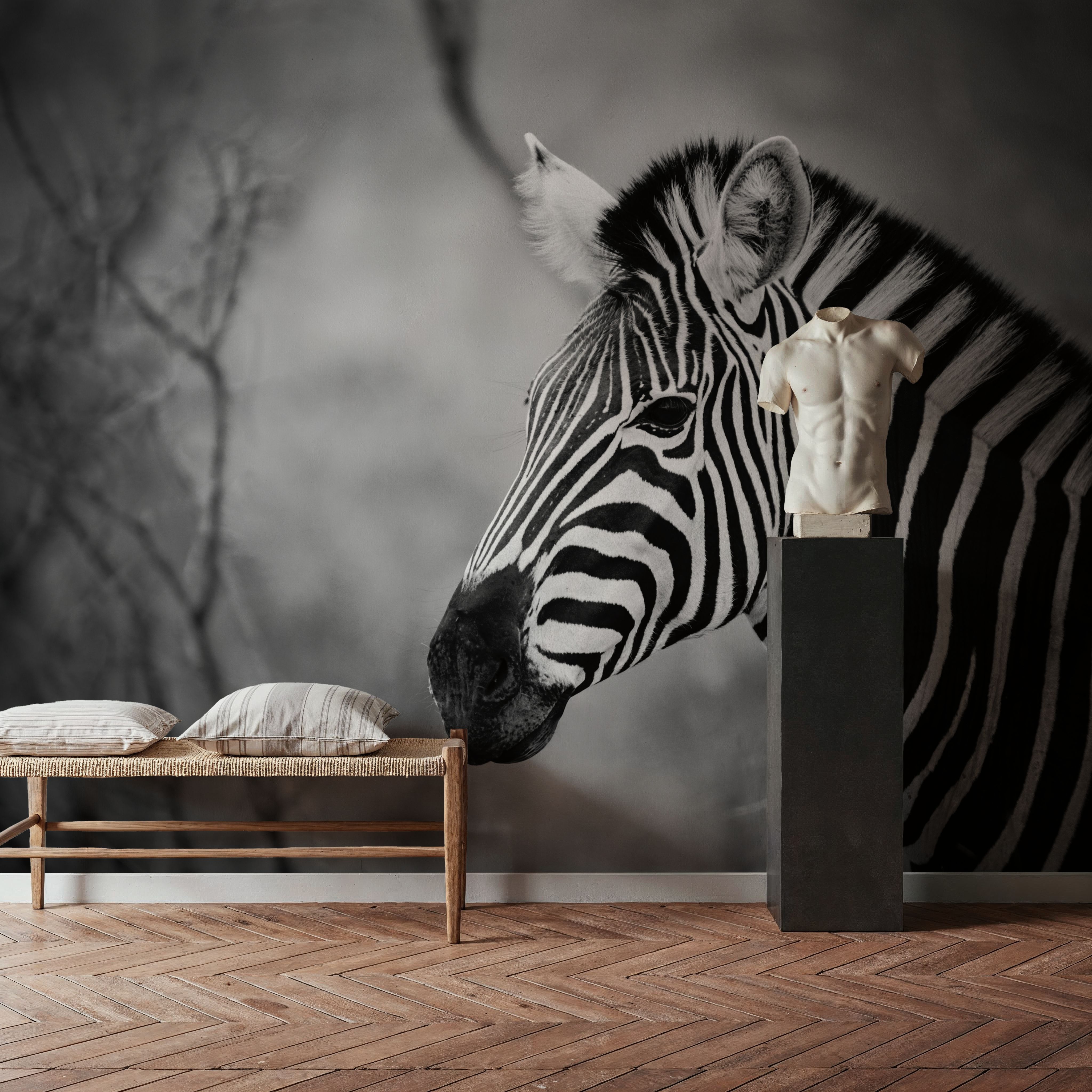 Black and White Zebra
