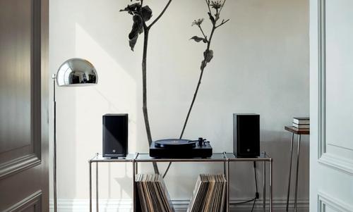 Sleek Simplicity III