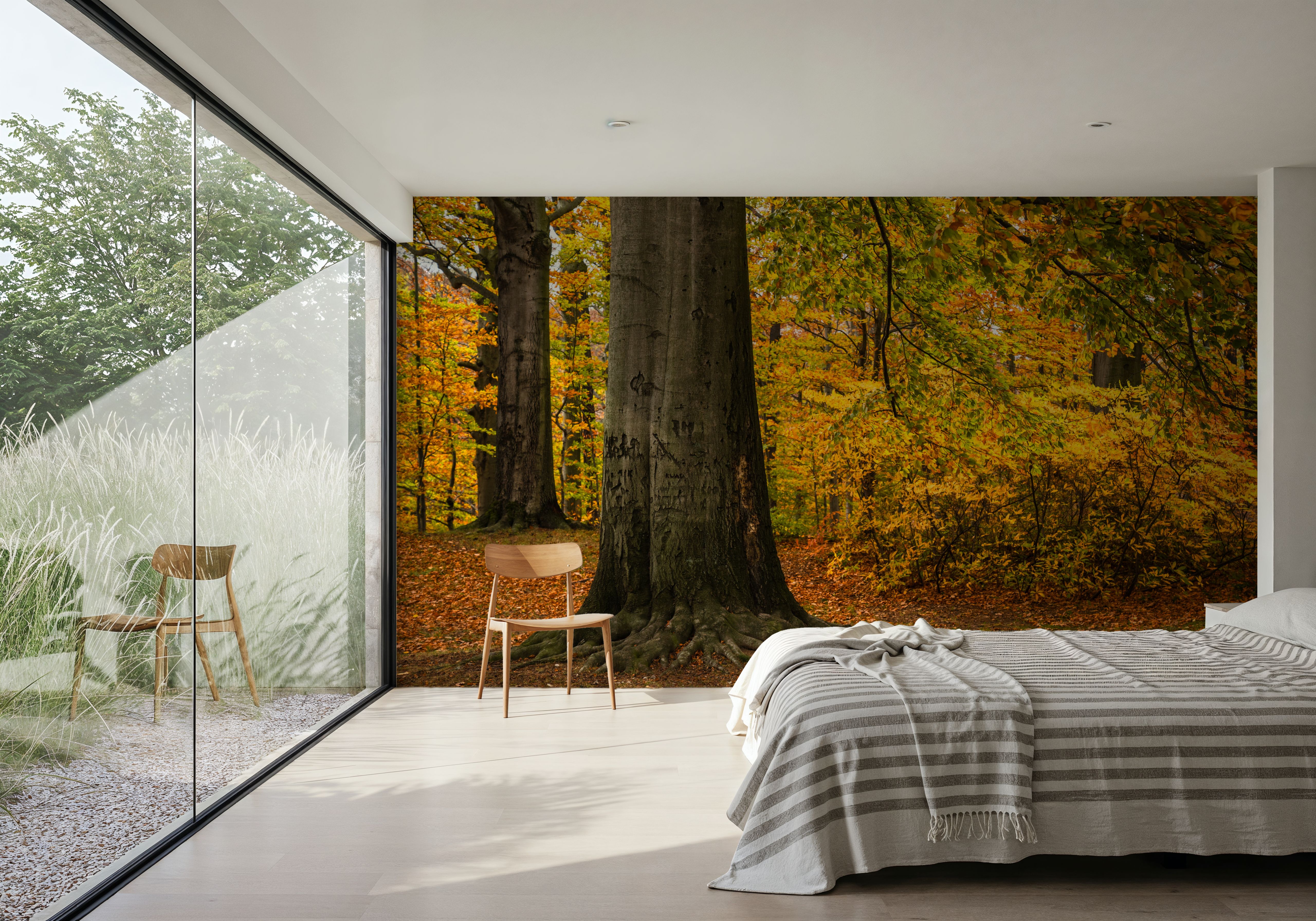 Falling Yellow Autumn Leaves