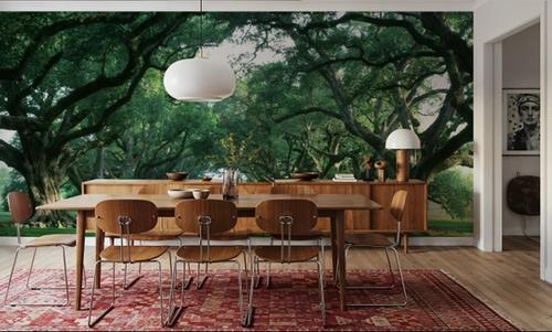 Ancient Oak Avenue