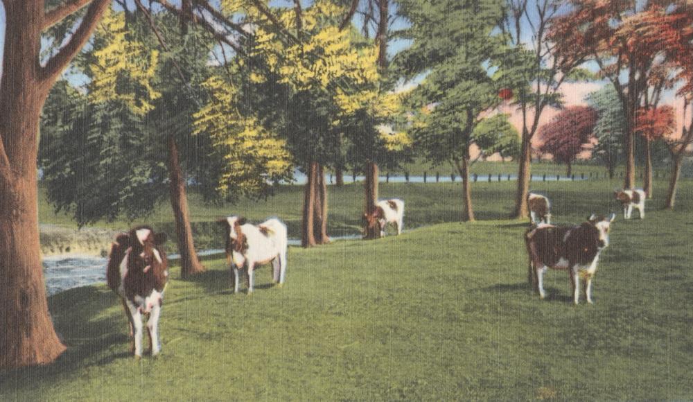 Time for a Break - Screenprint Postcard