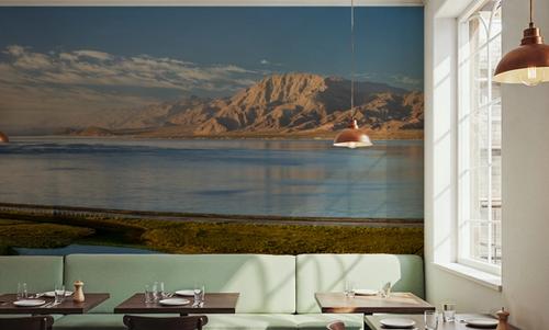 Baja Panorama
