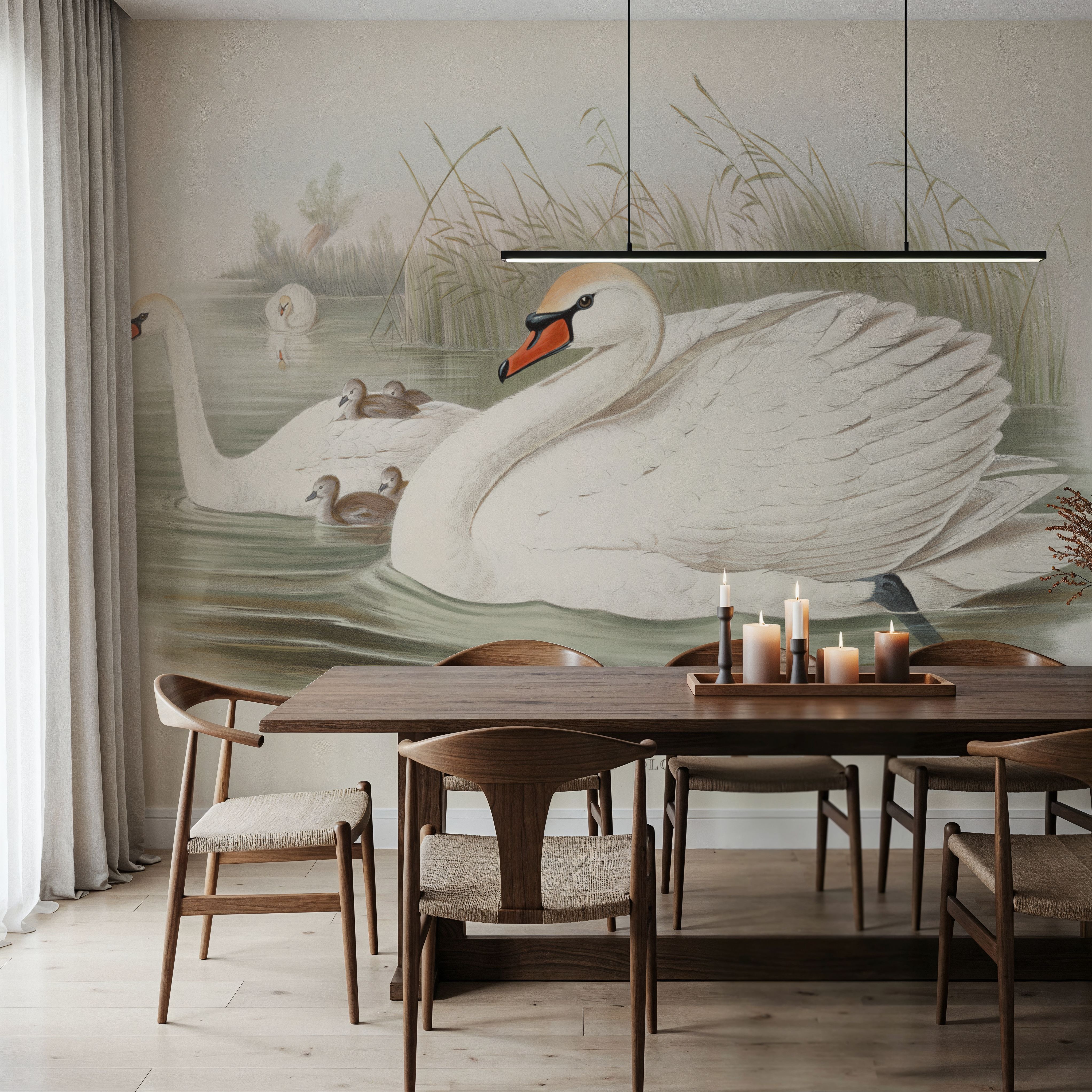 Swan Lake