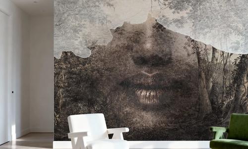 The Hidden Face