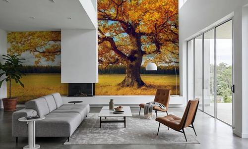 Golden Fall Tree