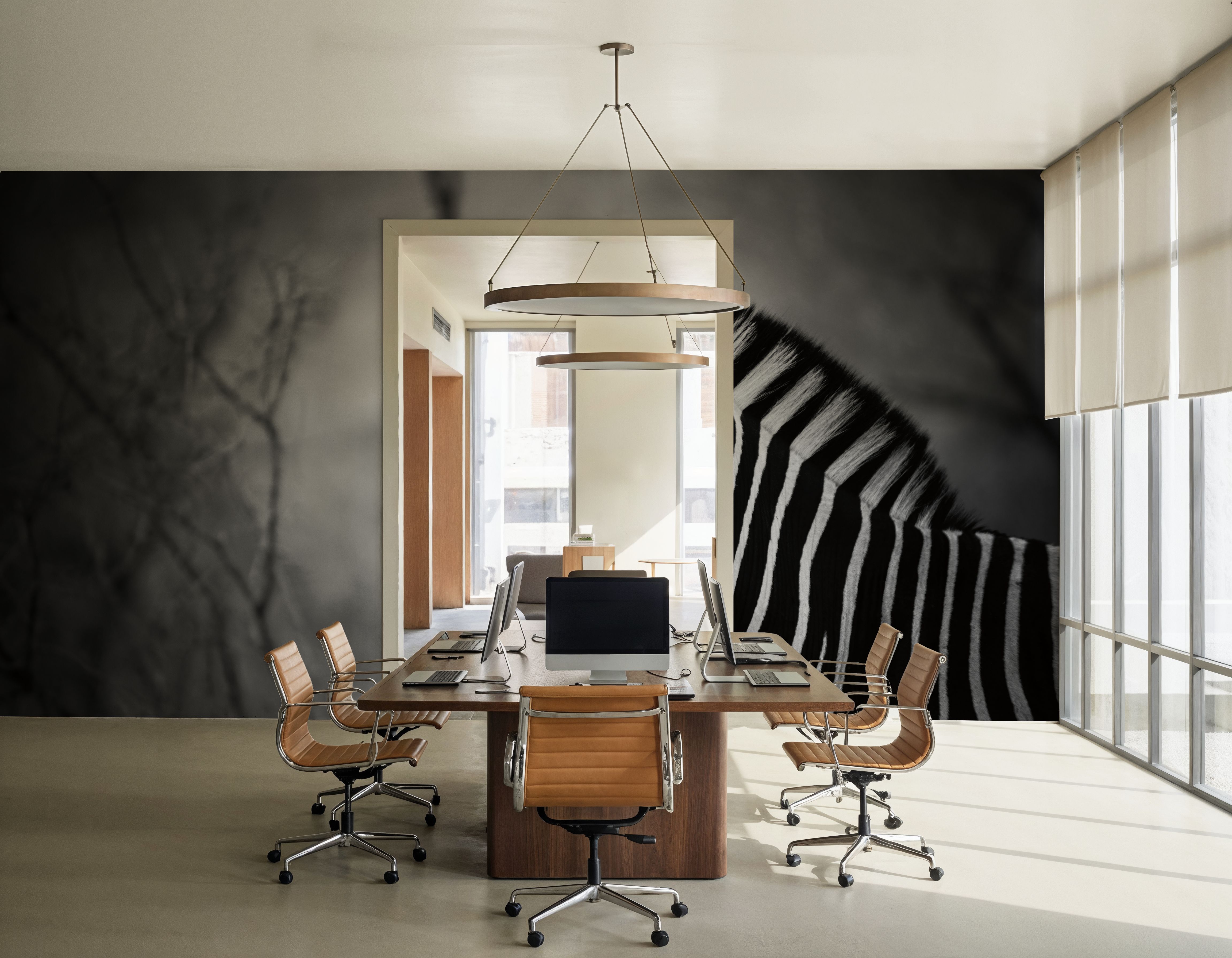 Black and White Zebra