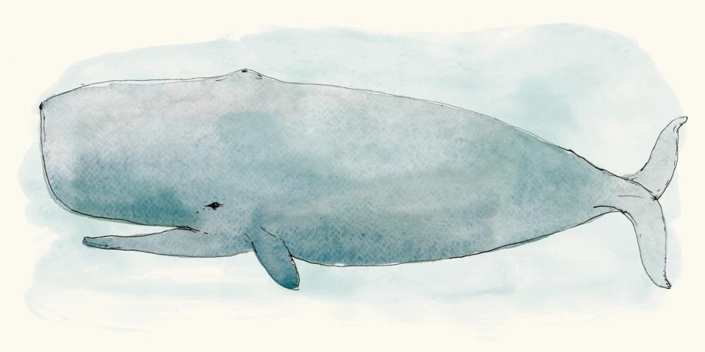 Sea Life V