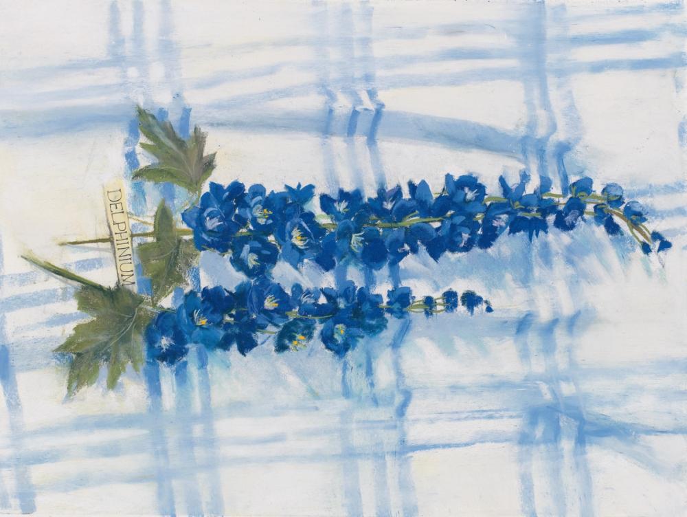 Delphinium on Linen