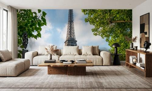 Eiffel Framed