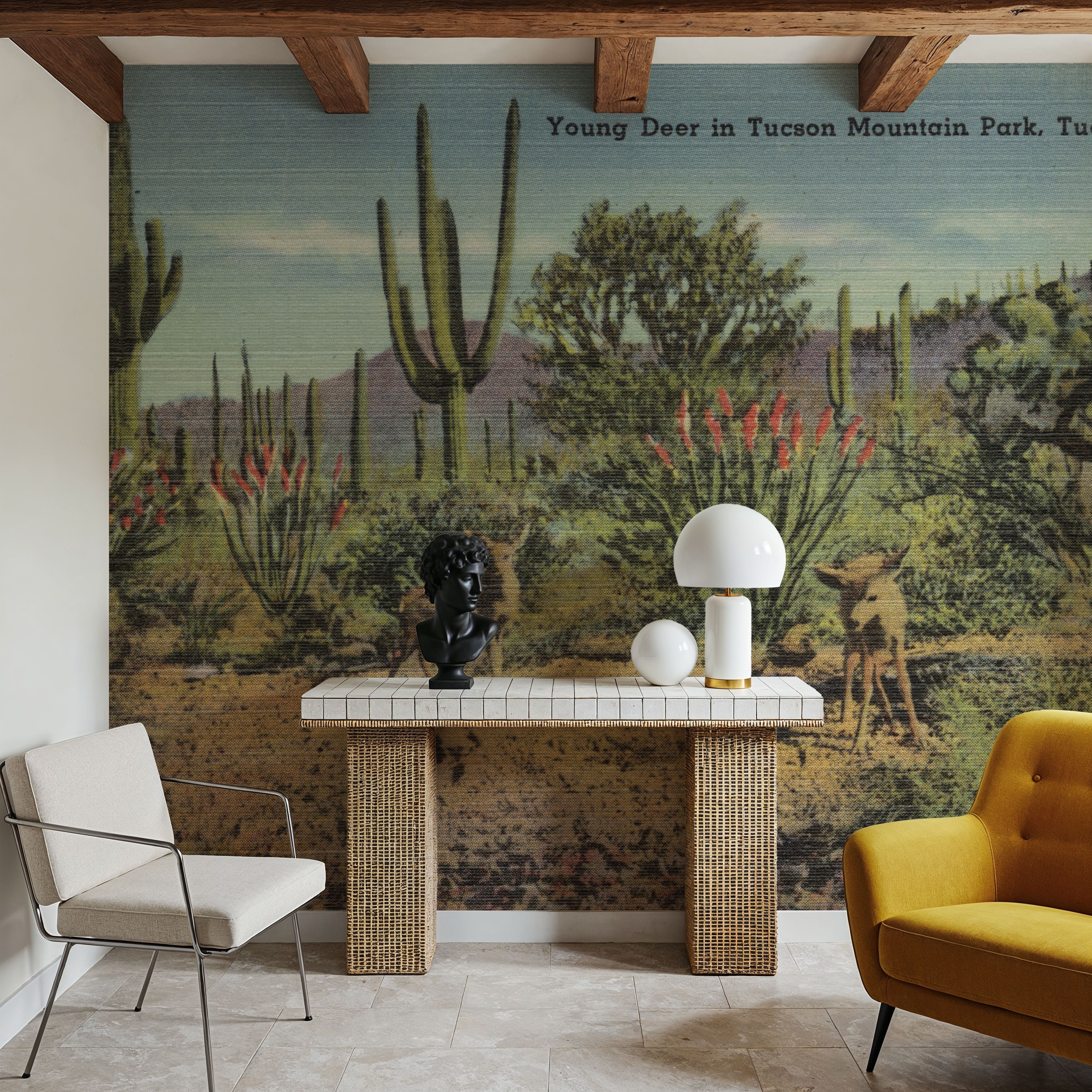 Greetings from Tucson Moutain Park - Screenprint Postcard