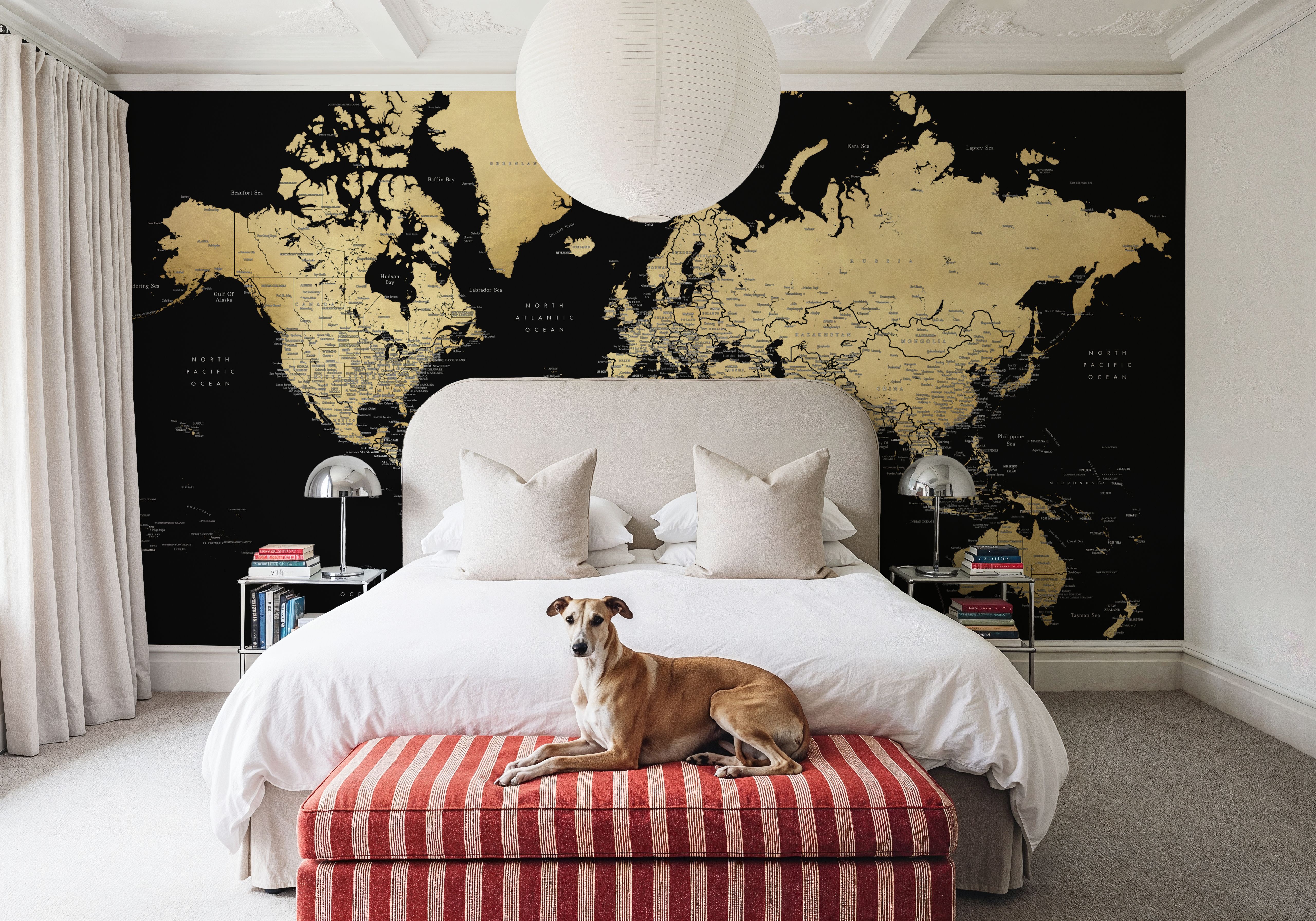 World Map Cities - Eleni