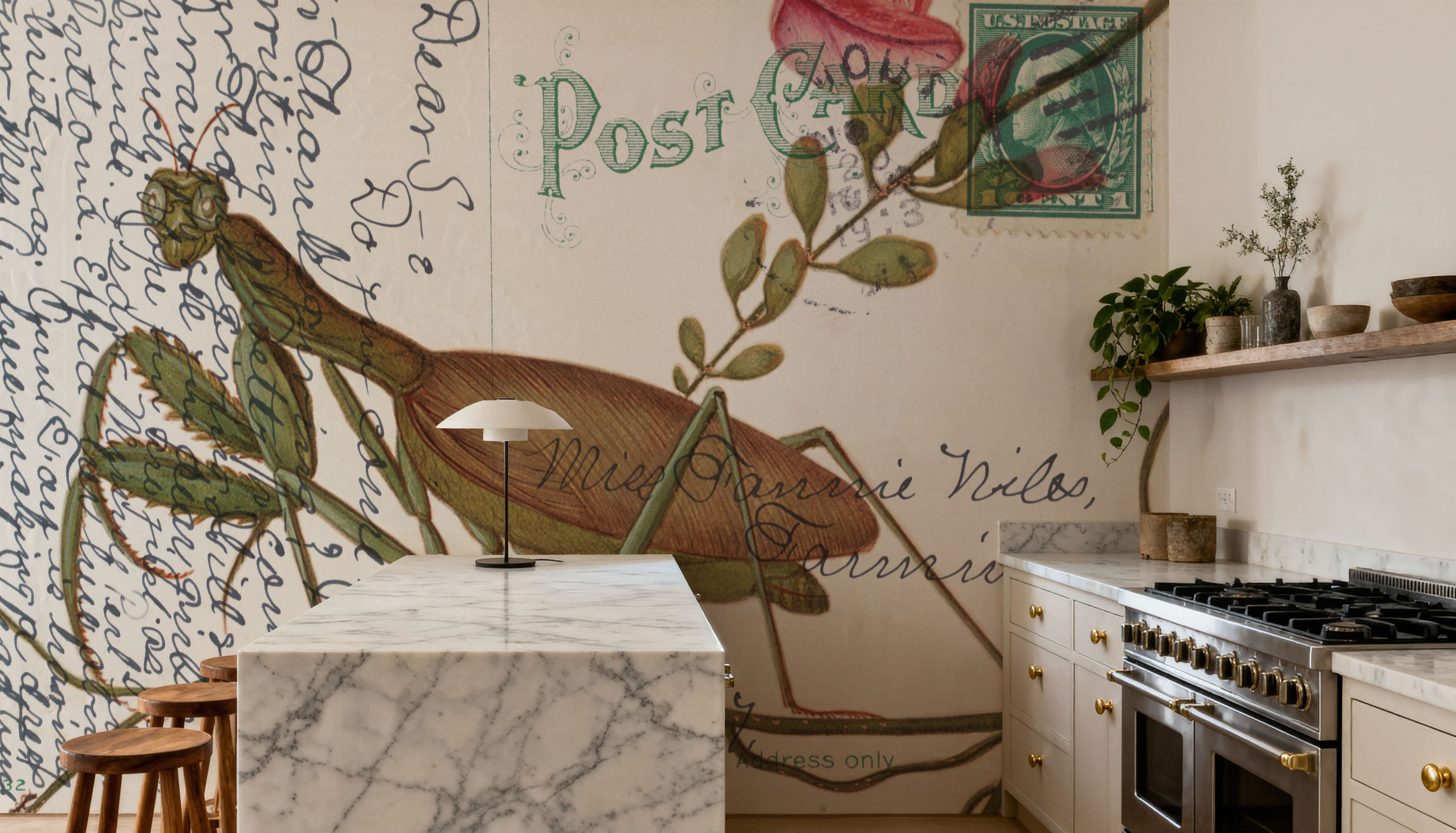 Praying Mantis Postcard