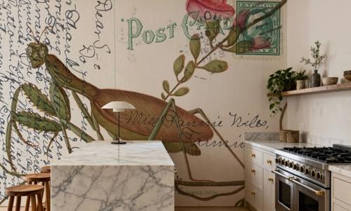 Praying Mantis Postcard