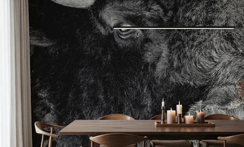 Bison Stare BW