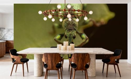 Green Beetle II