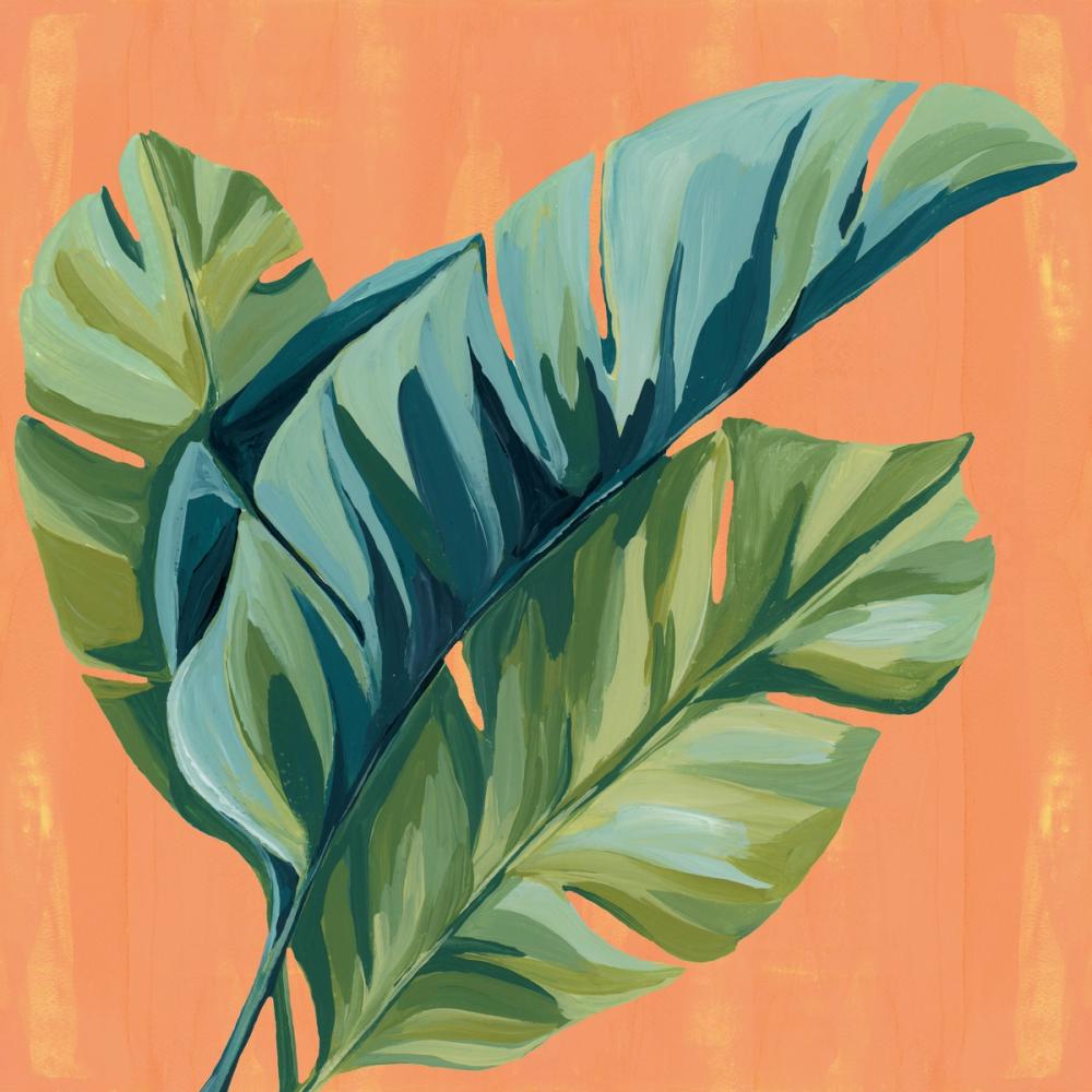 Island Botanica IV