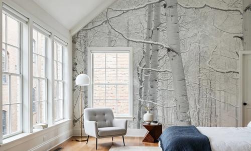 Winter Birch Serenity