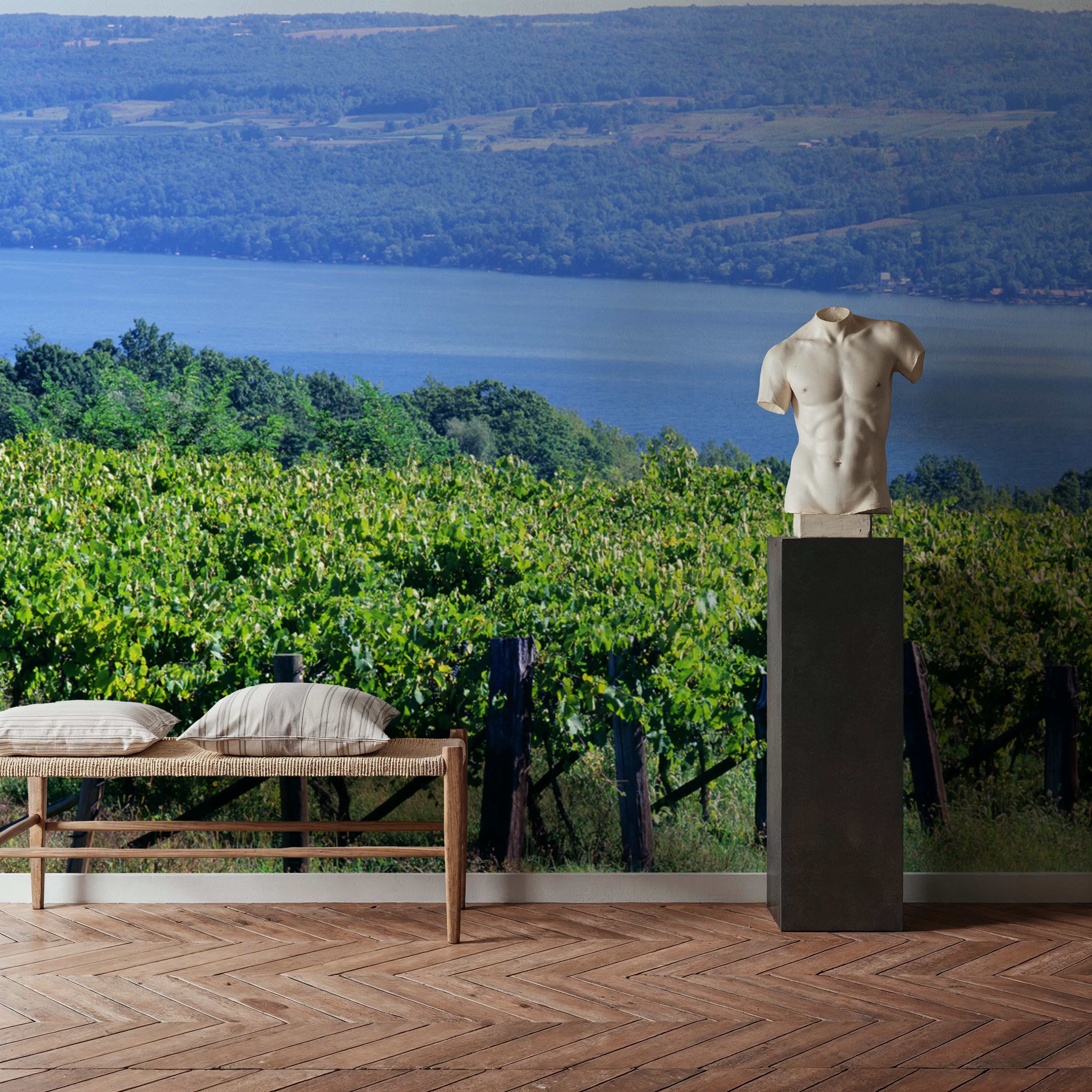 Vineyard Vista