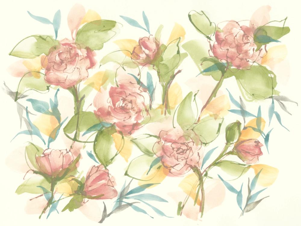 Blush Camellias