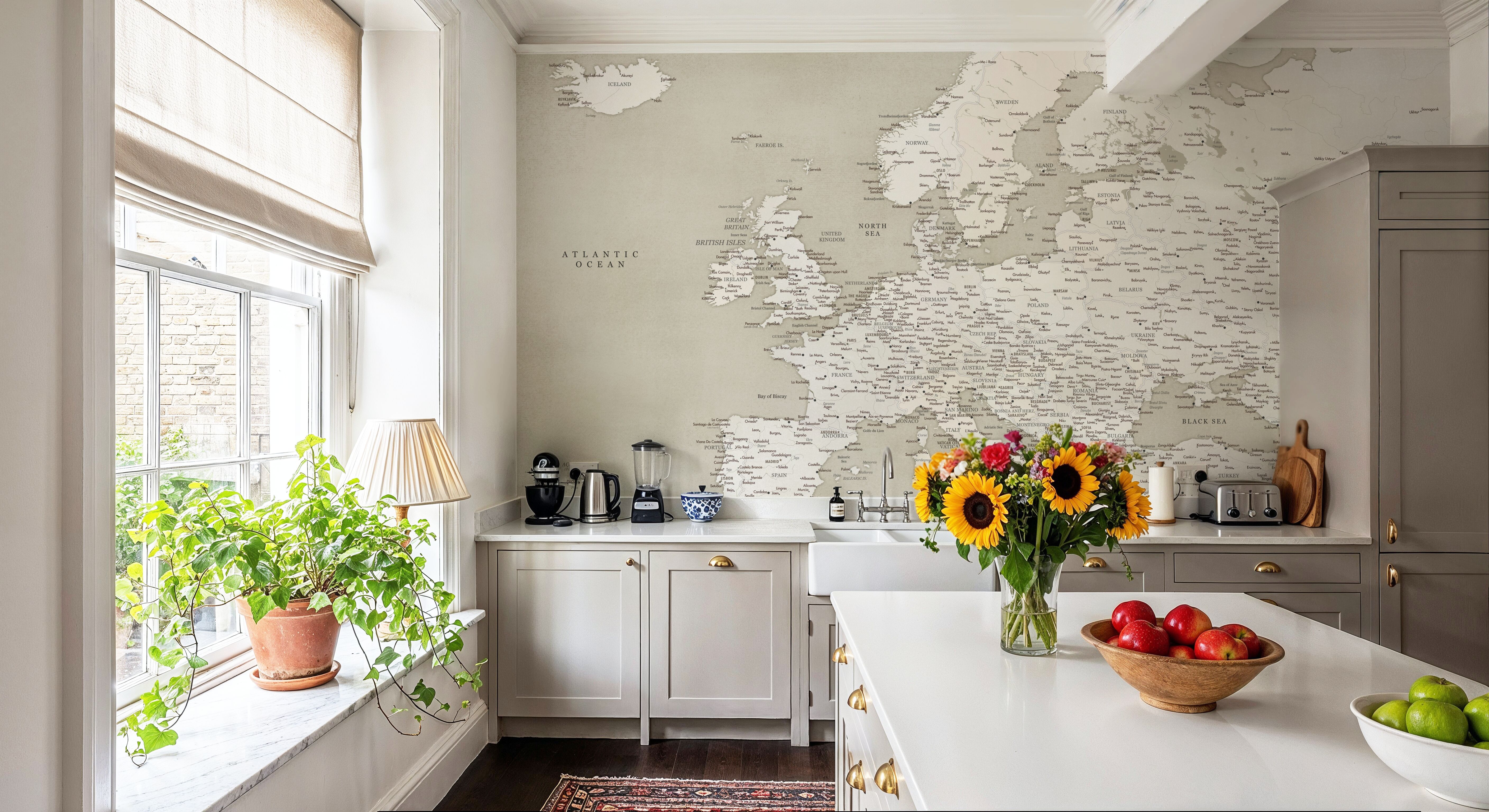 Europe Map Detailed - Sarai