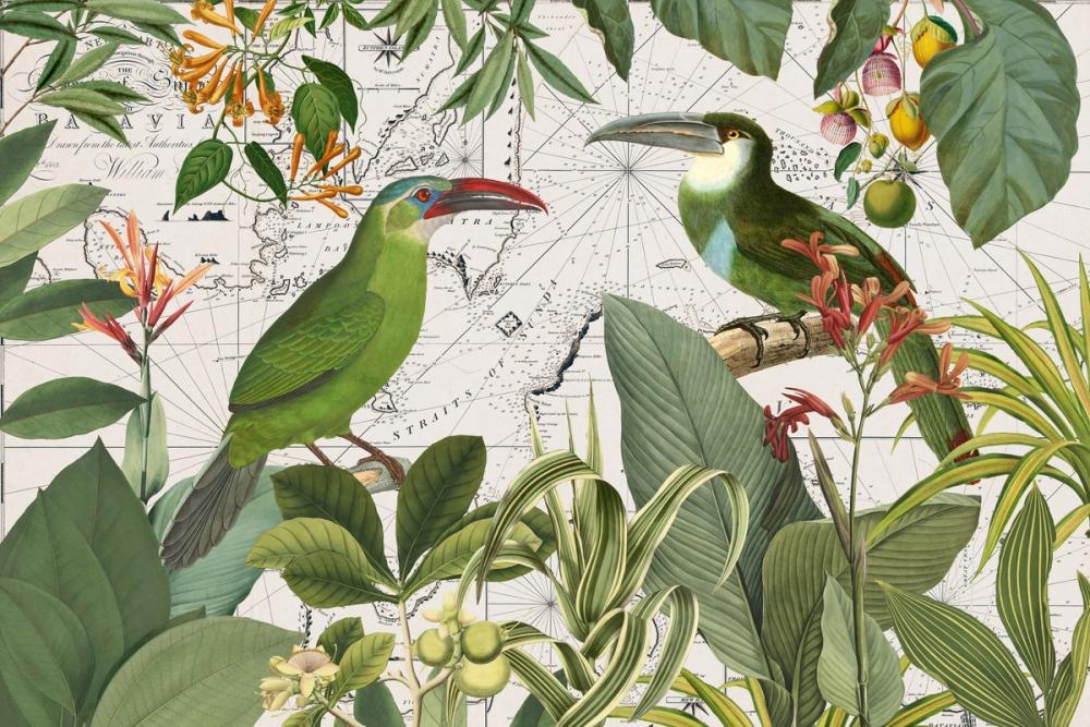 Parrots Nostalgic Journey III