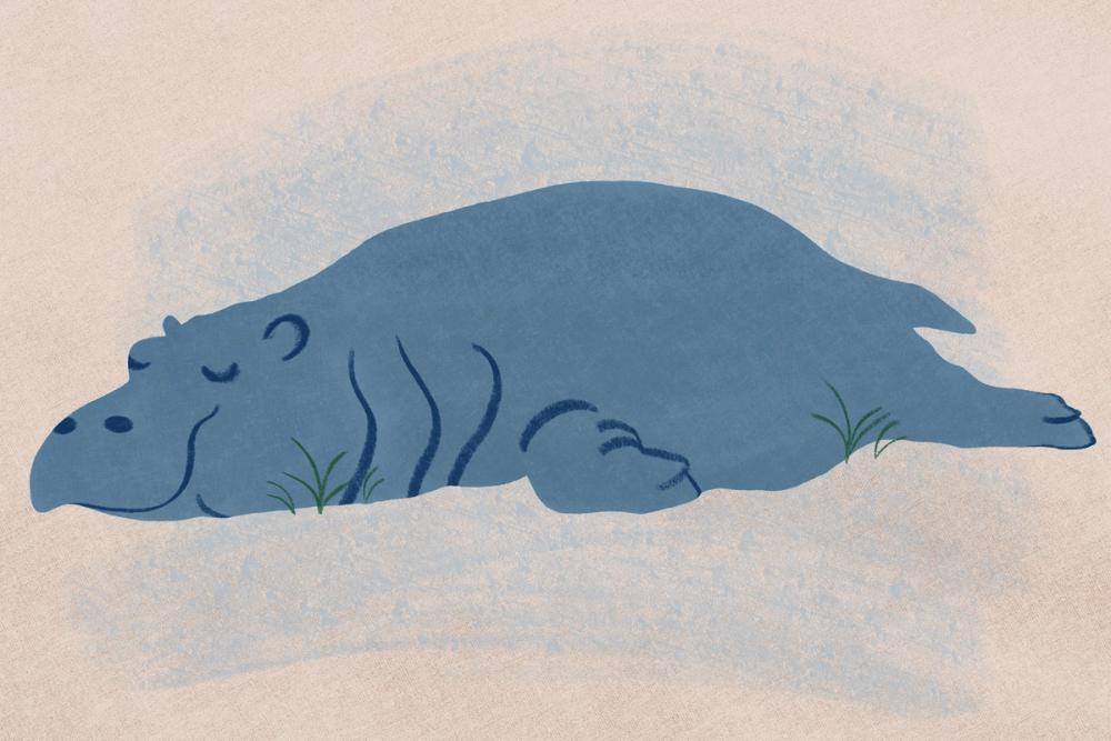 Sleeping Hippo