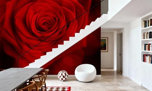 Velvet Rose