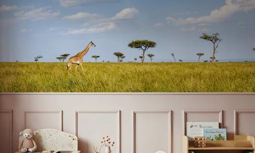 Giraffe Walk