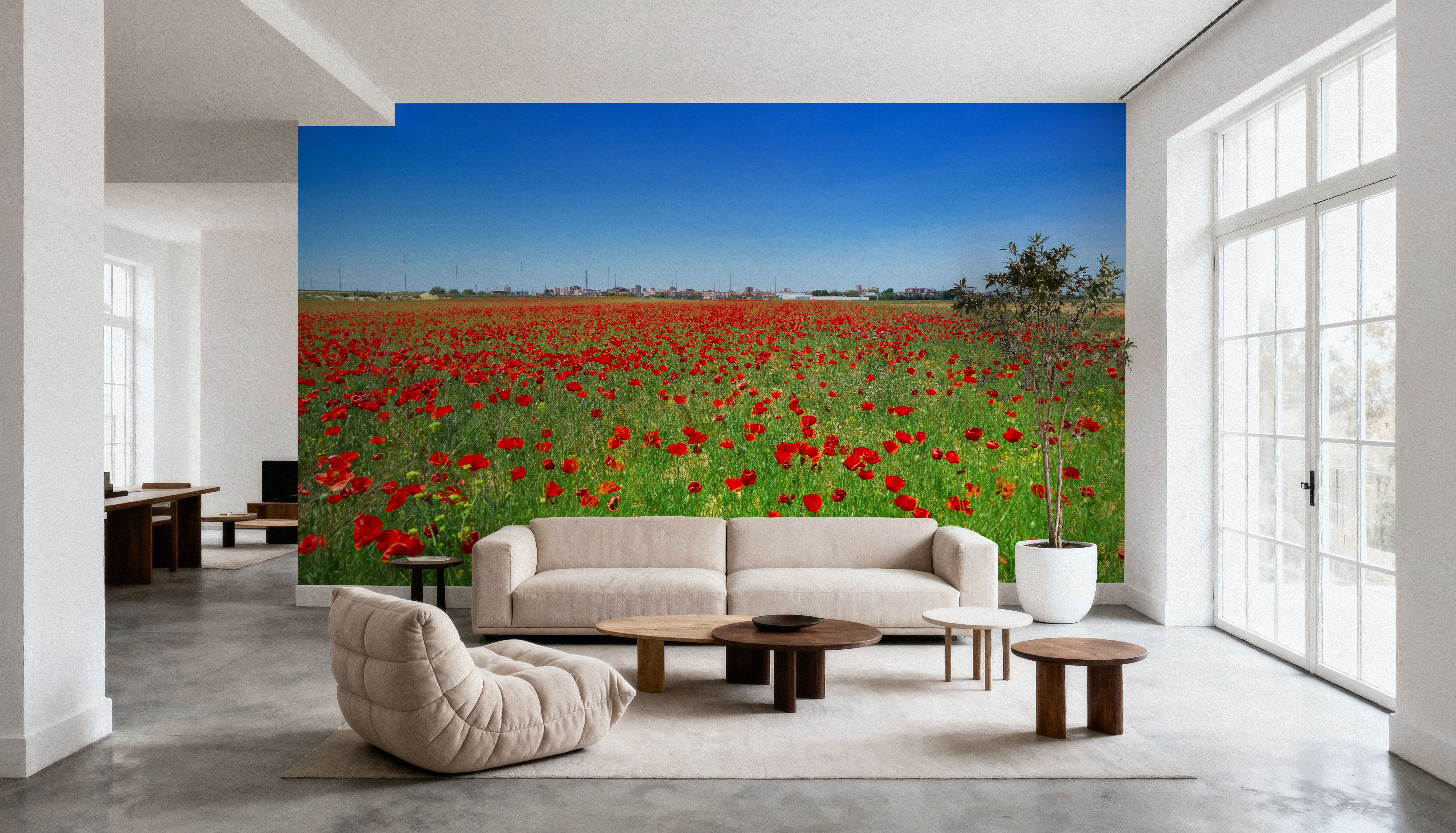 Crimson Poppy Field