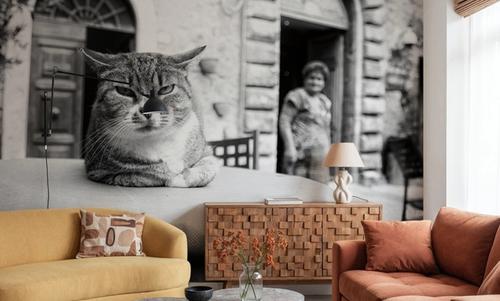 Cafe Cat