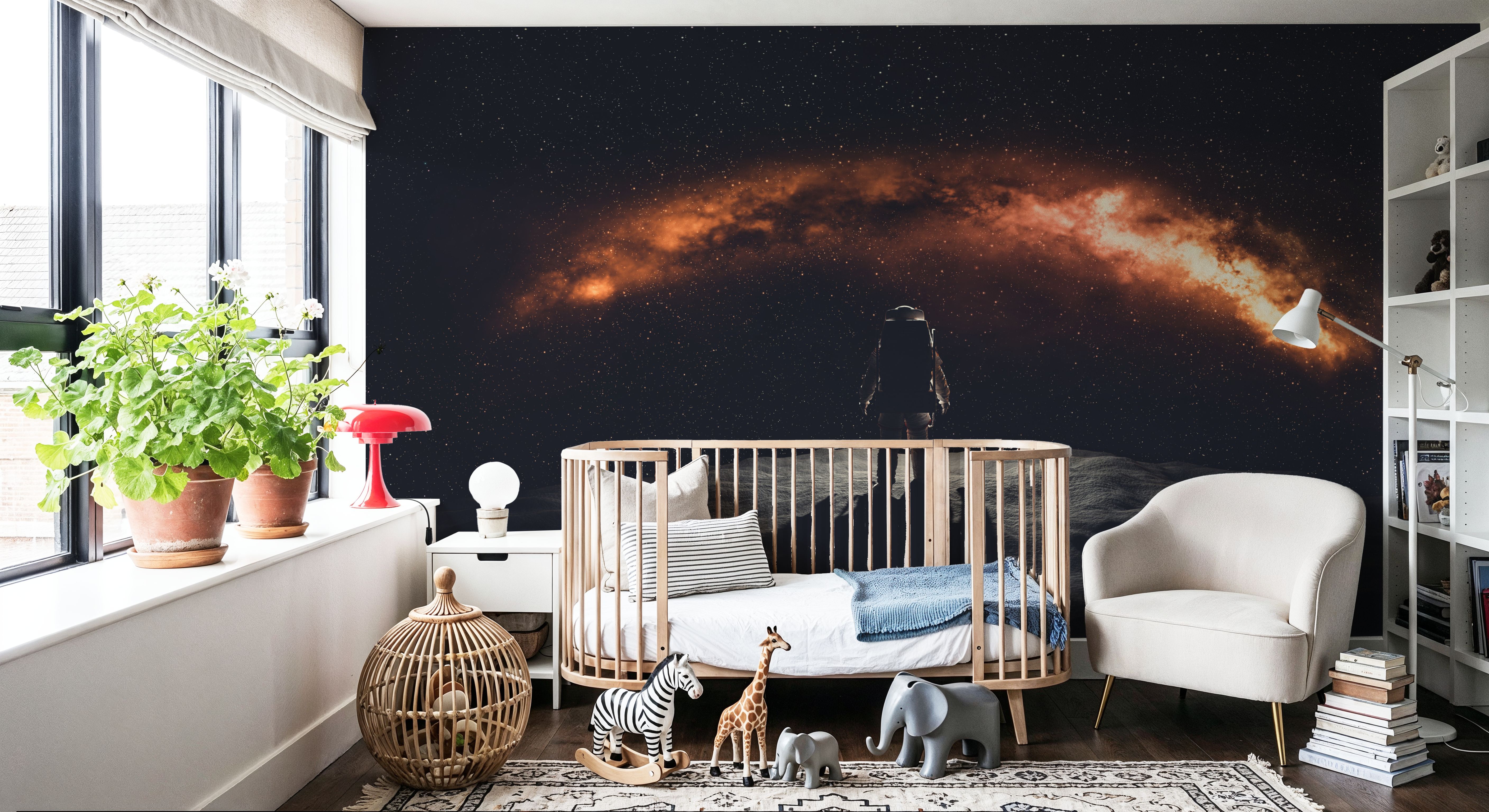 Space Walk