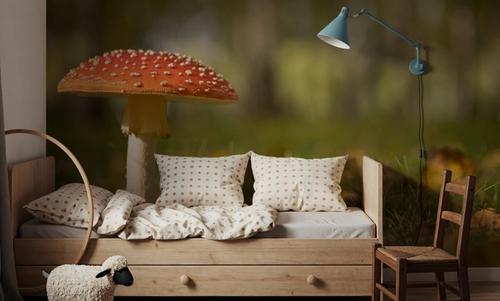 Toadstool Focus