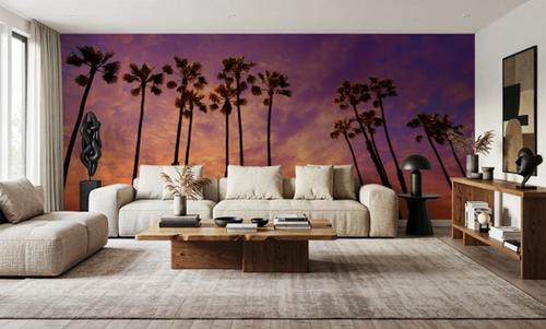 Biskra Palms