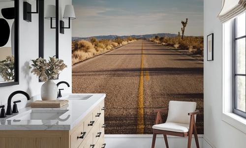Joshua Tree Road