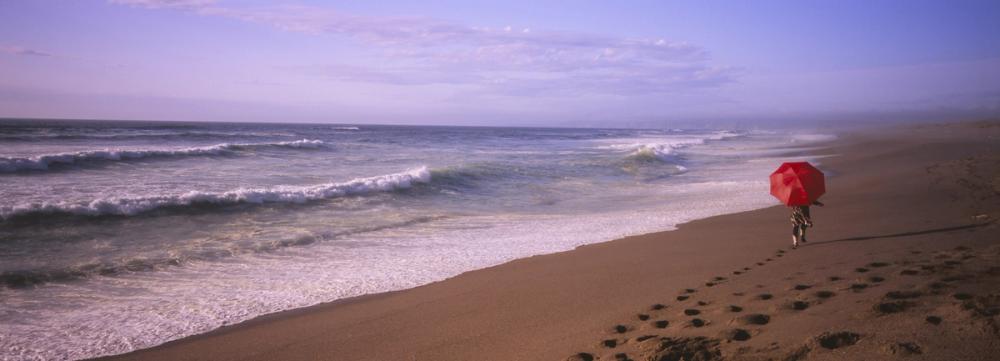Crimson Stroll by the Shore