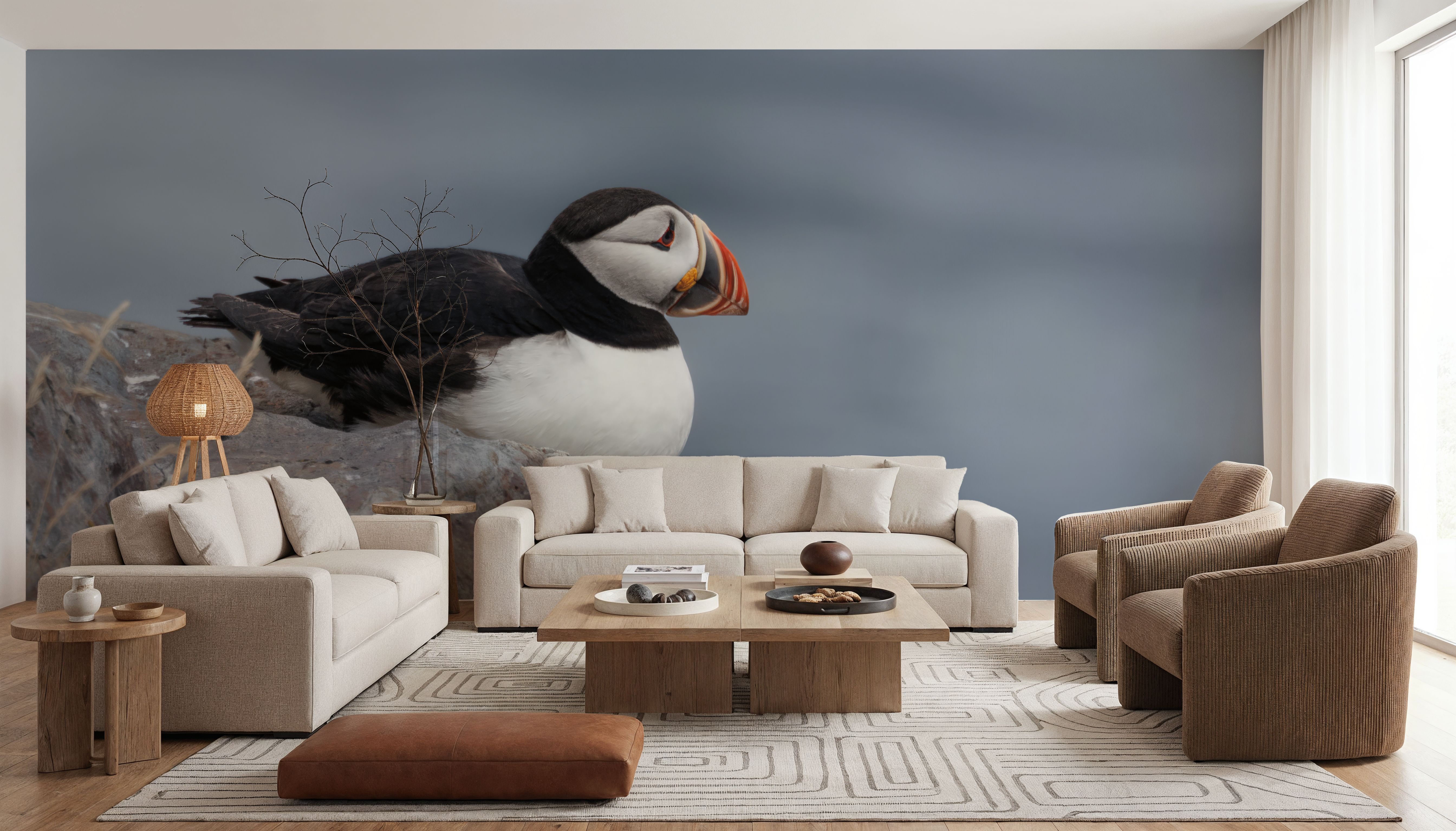 Atlantic Puffin Resting