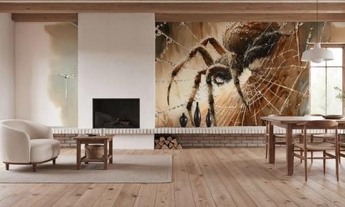 Spider's Web