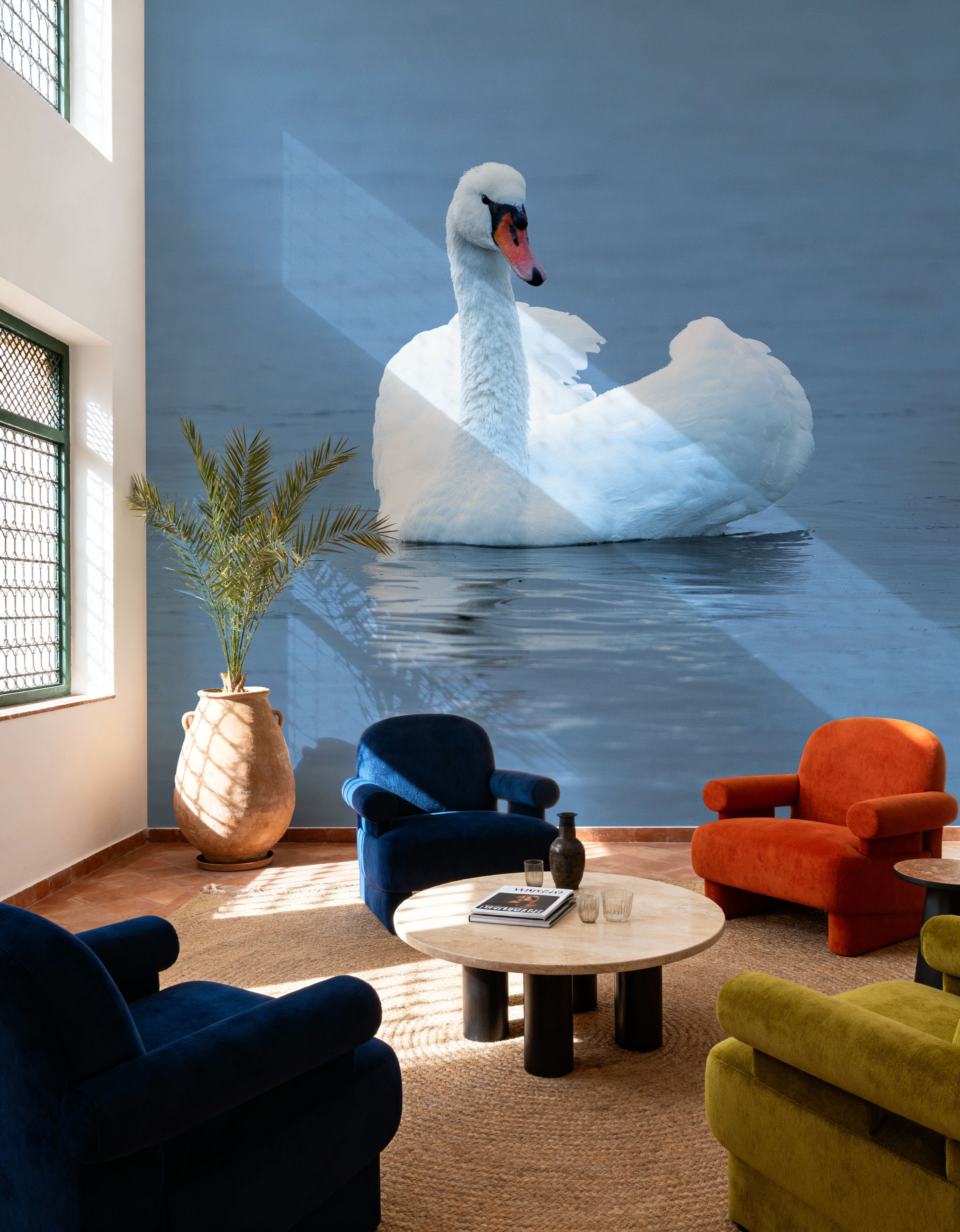 White Swan