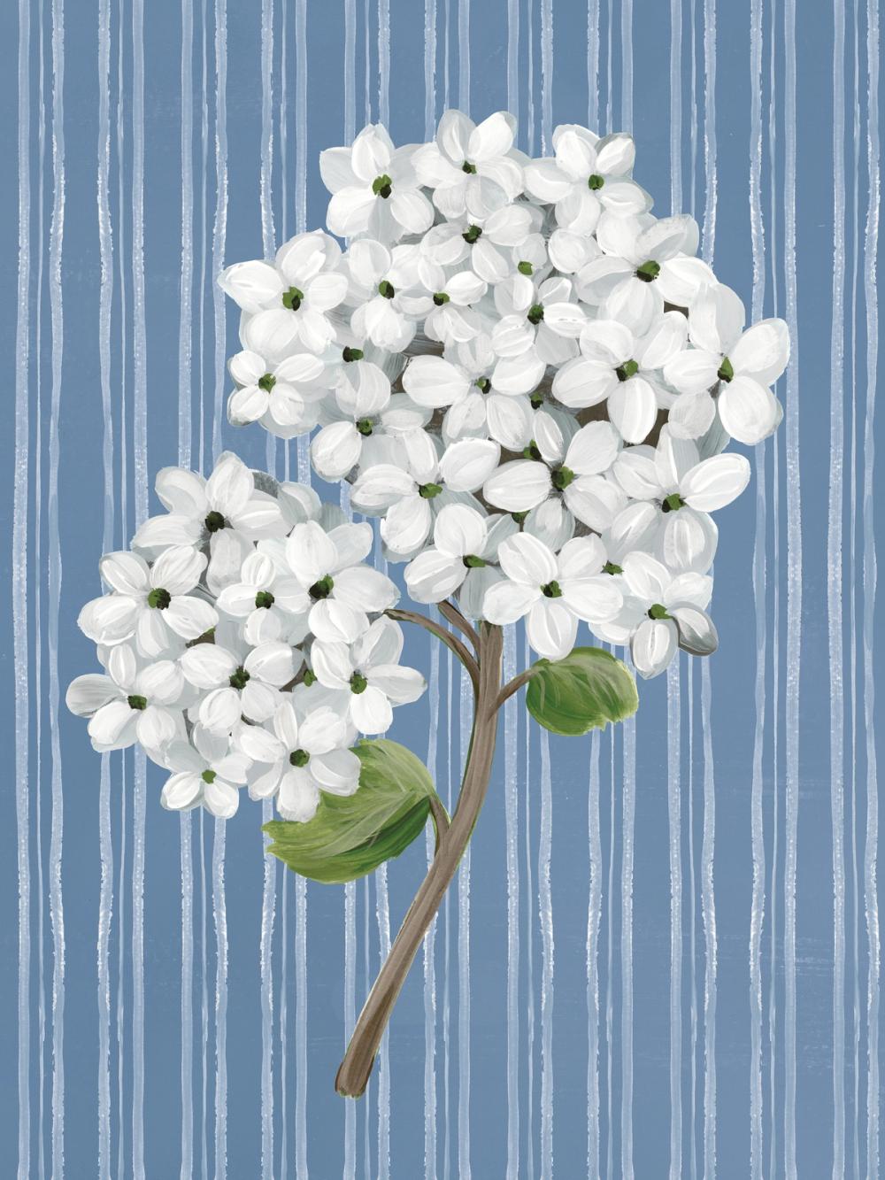 French Blue Hydrangeas II