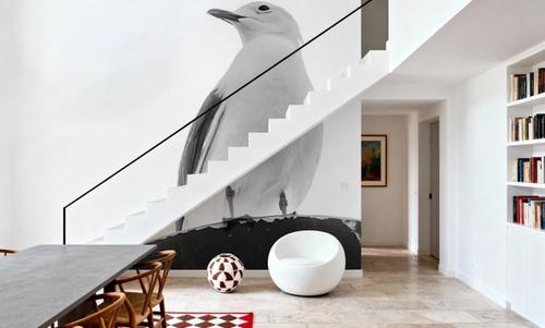 Gull